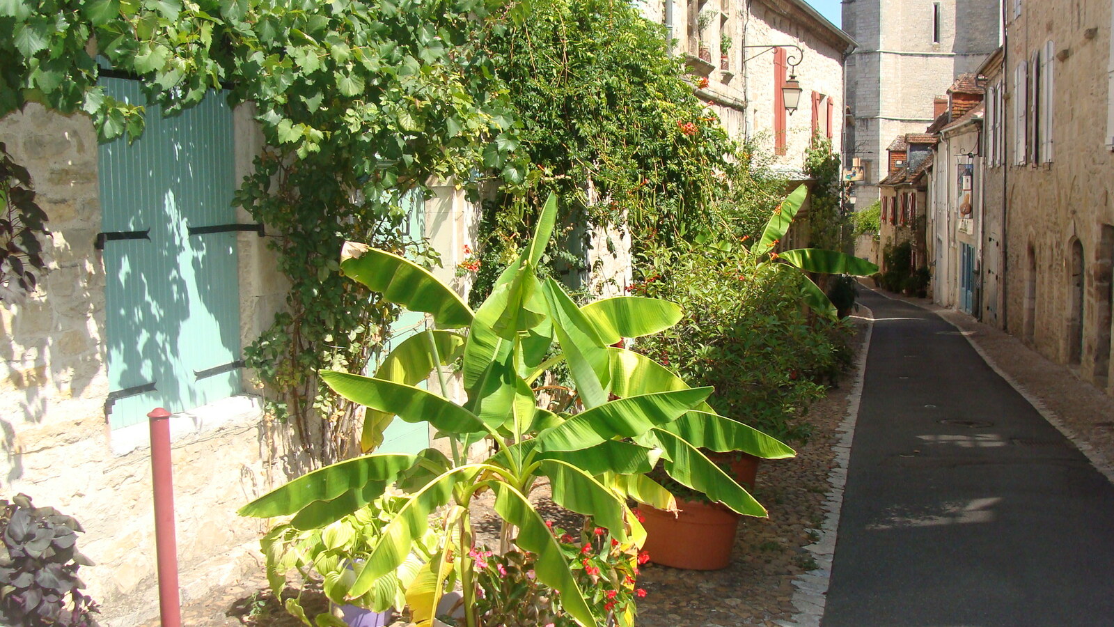 Description de l'image