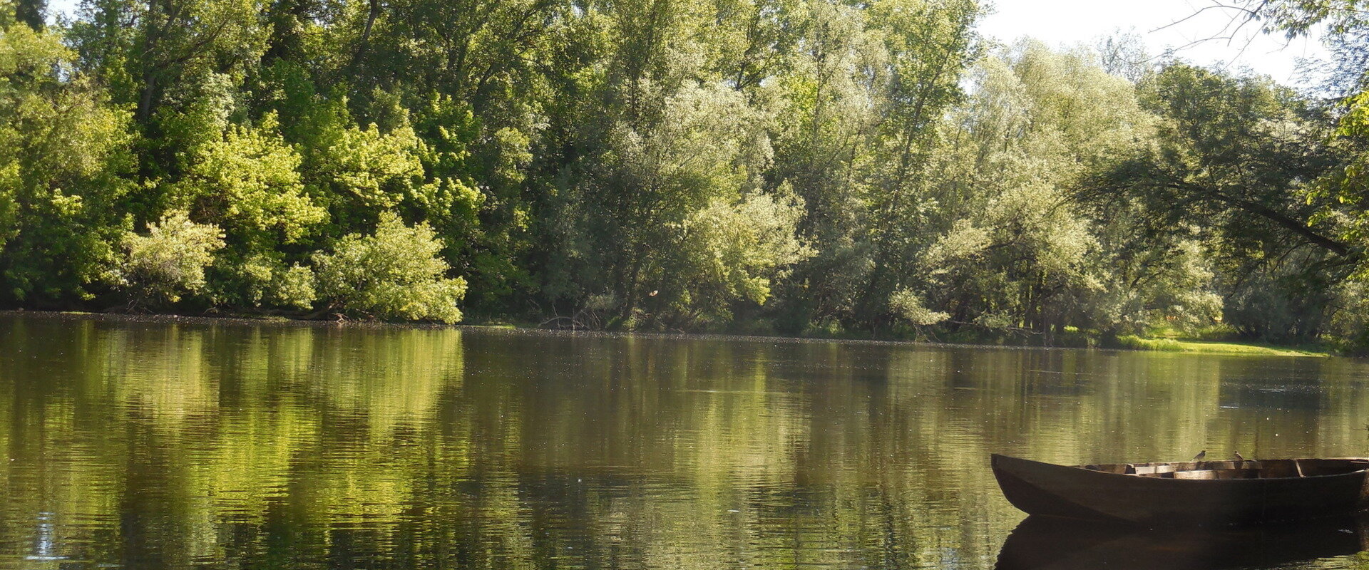 GRAINE D'EVEIL, micro-crèche